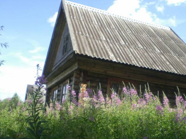 Продается добротный дом на участке 20 соток в Тверской области